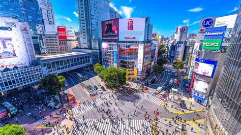 マテリアル 渋谷 - 都市の進化と伝統の融合